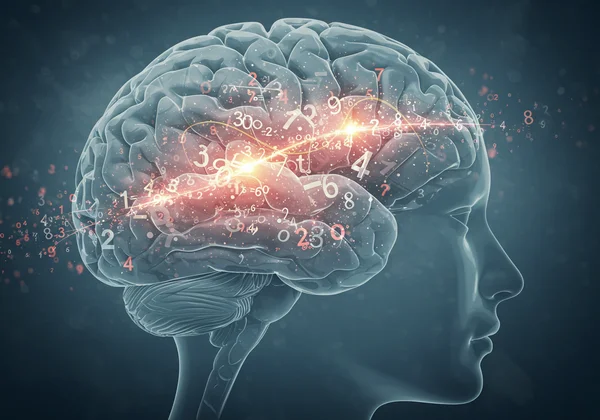 Brain processing numbers with difficulty in a stylized way