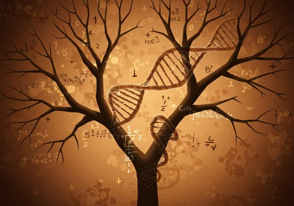 Abstract representation of family genetics and math challenges